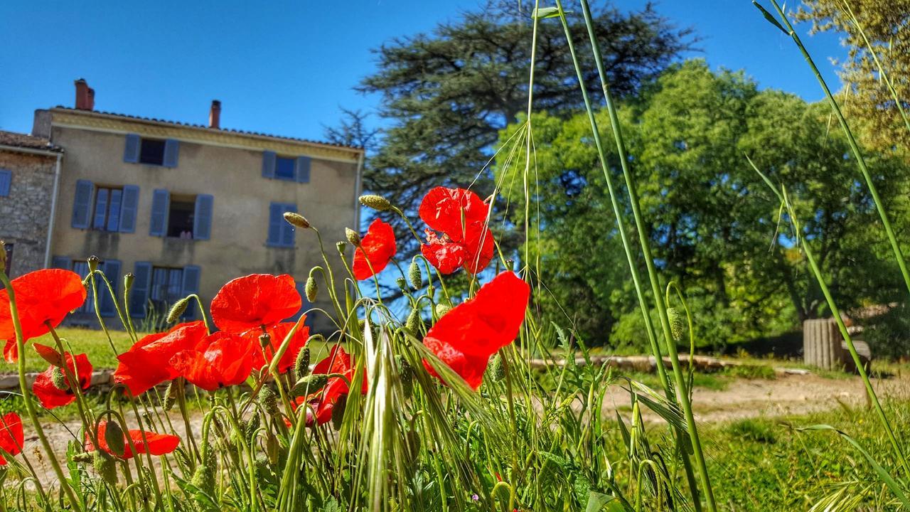 Le Domaine Saint Martin Bed & Breakfast Flassans-sur-Issole ภายนอก รูปภาพ